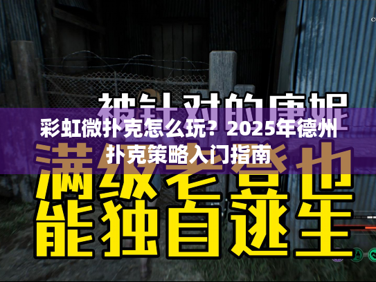 彩虹微扑克怎么玩？2025年德州扑克策略入门指南